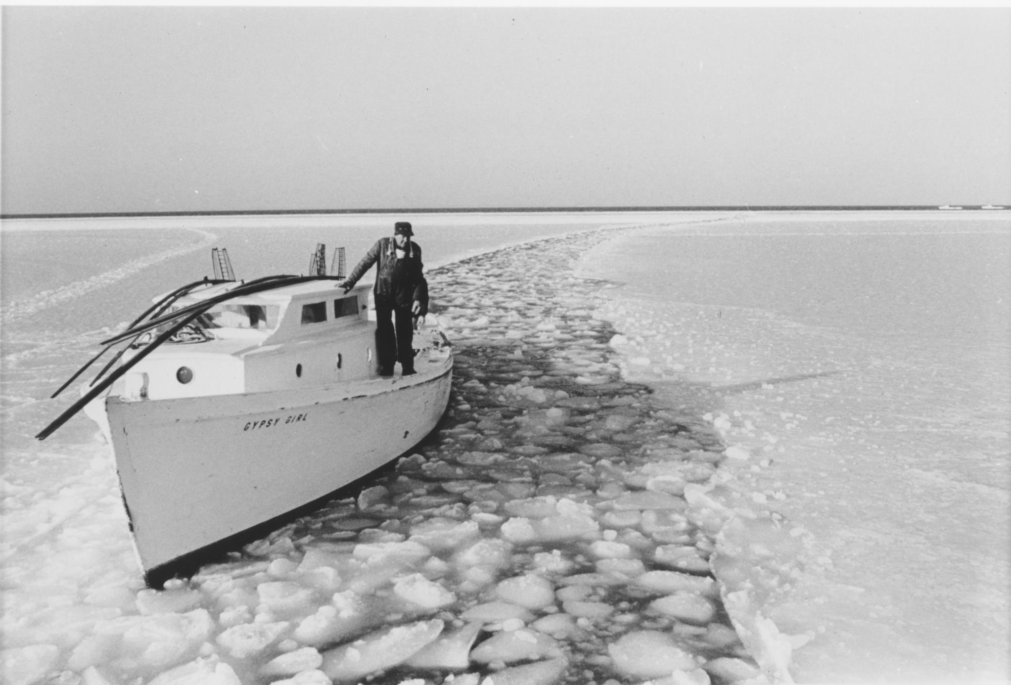 CBMM catalog image